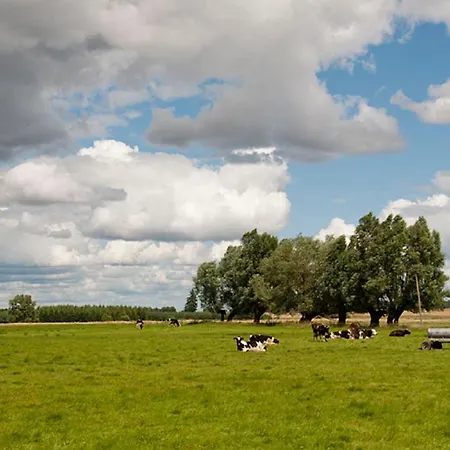 Dadajowa Osada - Dadaj Biskupiec (Olsztyn)