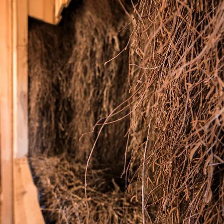 Dadajowa Osada - Dadaj Biskupiec (Olsztyn)