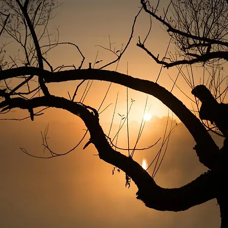 Dadajowa Osada - Dadaj * Biskupiec (Olsztyn)