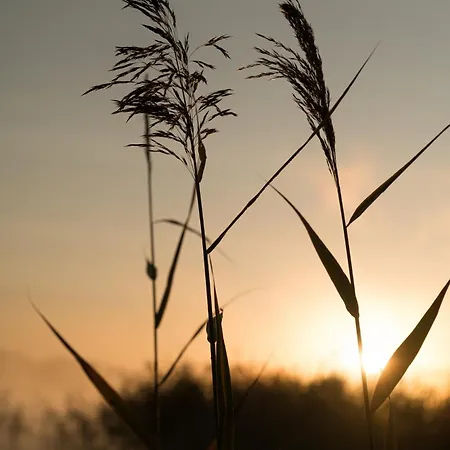 Dadajowa Osada - Dadaj Villa *